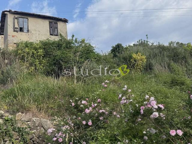 Rustico in vendita a Vallebona, Liguria
