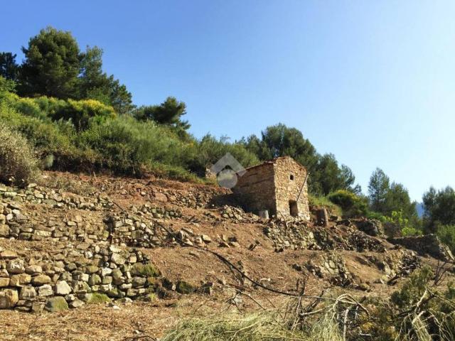 Rustico in vendita a Vallebona, Liguria