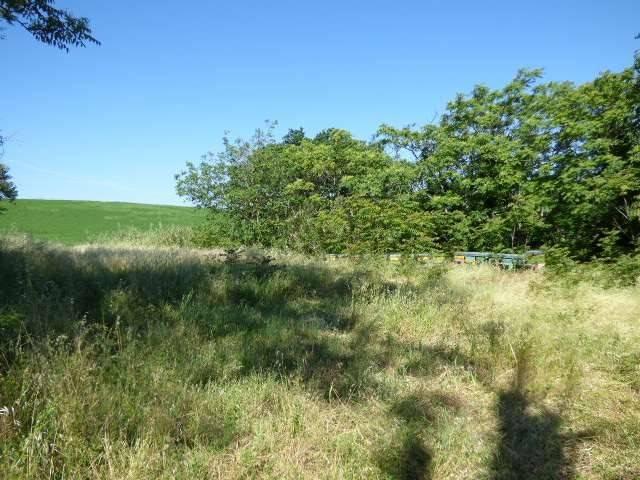 Rustico in vendita a Montecchio, Pesaro e Urbino