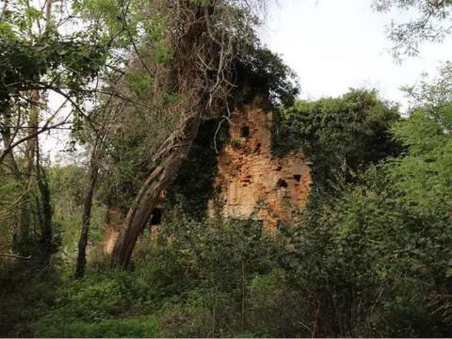 Rustico in vendita a Montecchio, Pesaro e Urbino