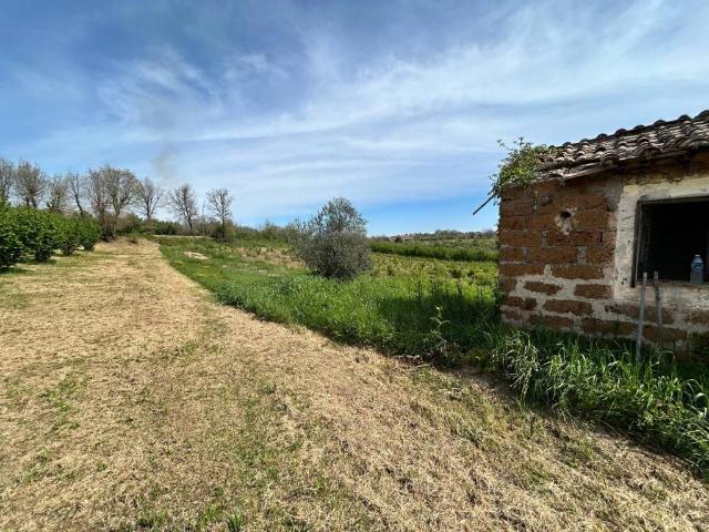 Rustico in vendita a Vasanello, Lazio