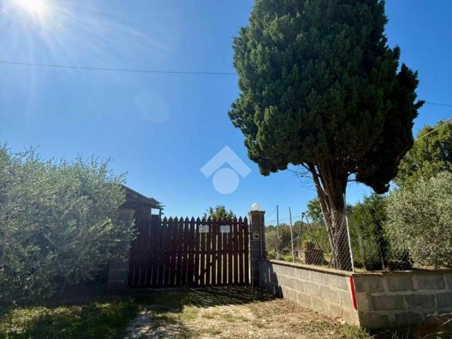 Rustico in vendita a Vasanello, Lazio