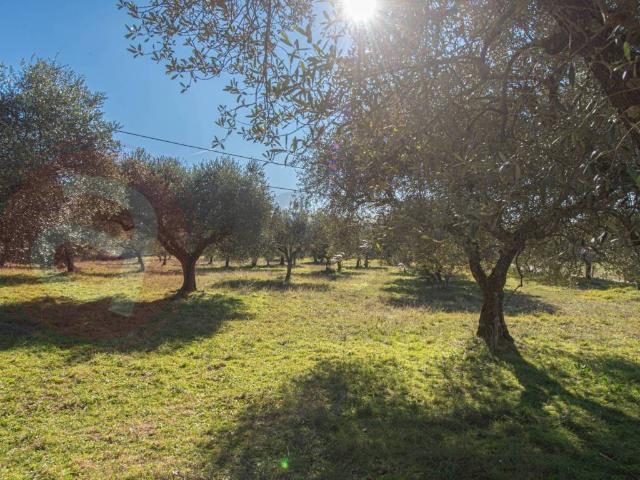 Rustico in vendita a Veroli, Lazio