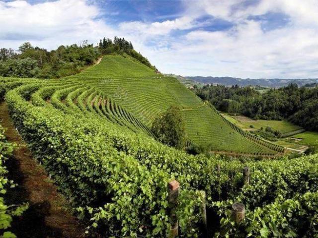 Rustico in vendita a Piemonte, Cuneo