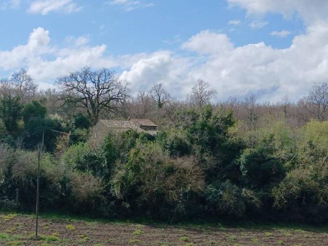 Rustico in vendita a Madonna del Ponte, Vetralla