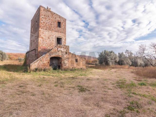 Rustico in vendita a Madonna del Ponte, Vetralla