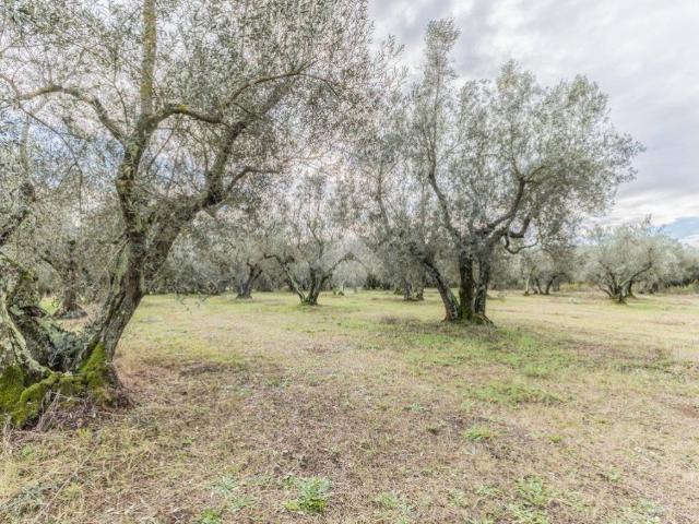 Rustico in vendita a Vetralla, Lazio