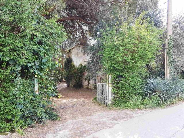 Rustico in vendita a Viareggio, Toscana