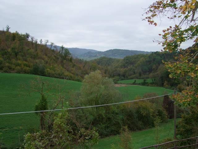 Rustico in vendita a Vicchio, Toscana