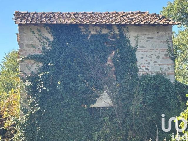 Rustico in vendita a Vicchio, Toscana