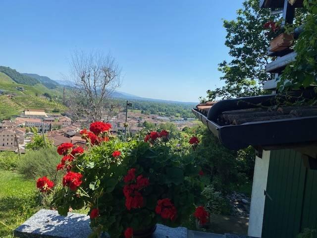 Rustico in vendita a Vidor, Veneto