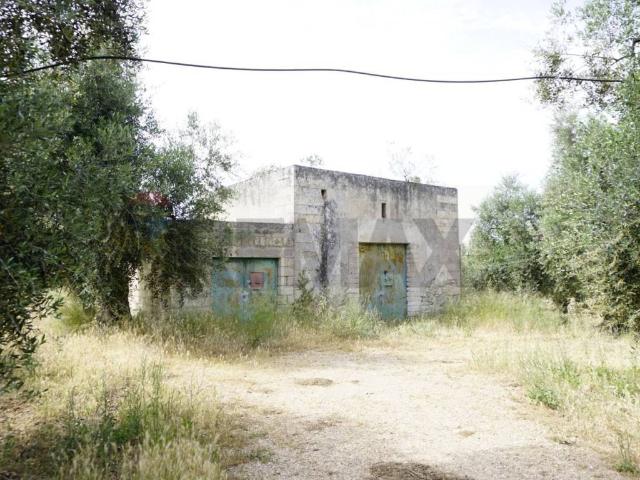 Rustico in vendita a Vieste, Foggia