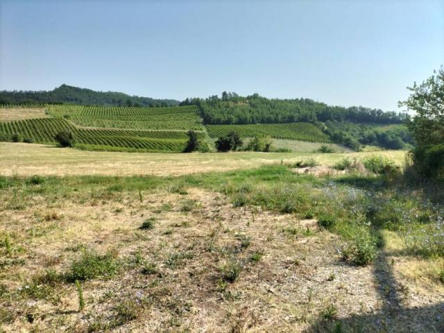 Rustico in vendita a Vigolzone, Reggio Emilia