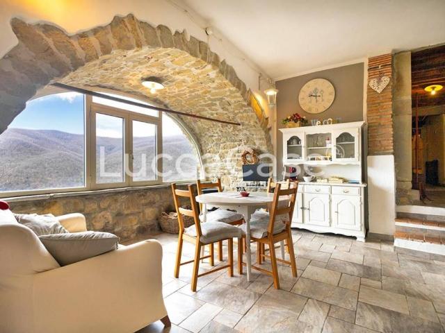 Rustico in vendita a Unione dei comuni Media Valle del Serchio, Villa Basilica