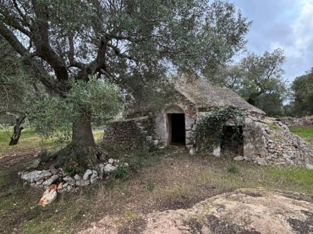 Rustico in vendita a Puglia, Brindisi