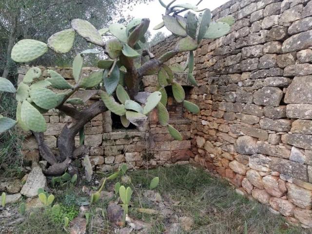 Rustico in vendita a Puglia, Brindisi