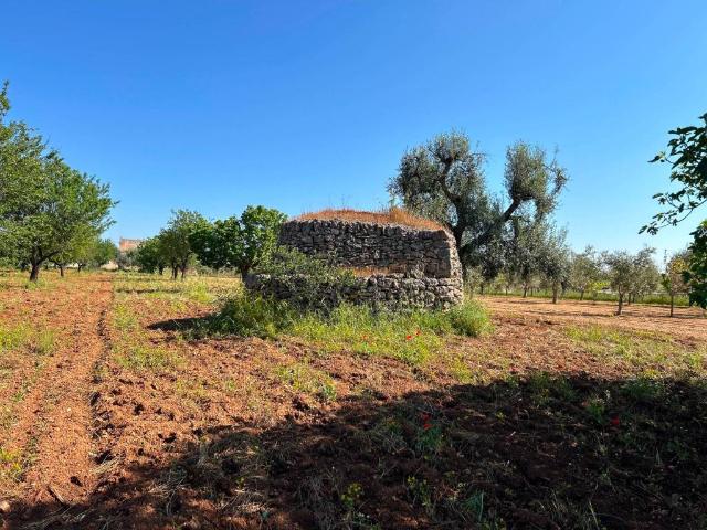 Rustico in vendita a Puglia, Brindisi