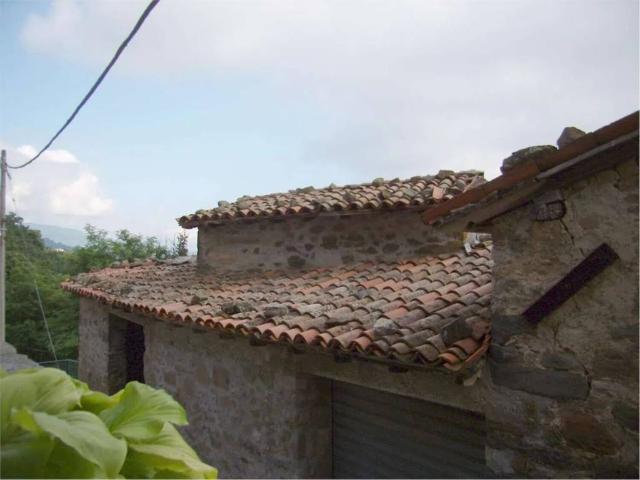 Rustico in vendita a Le Piane, Villa Collemandina