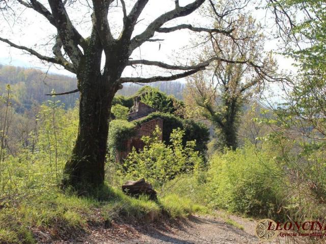 Rustico in vendita a Unione di comuni Montana Lunigiana, Villafranca In Lunigiana