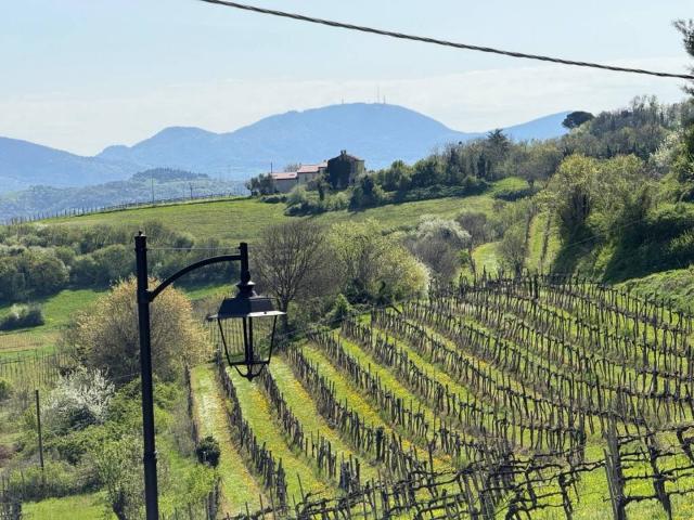 Rustico in vendita a Villaga, Veneto