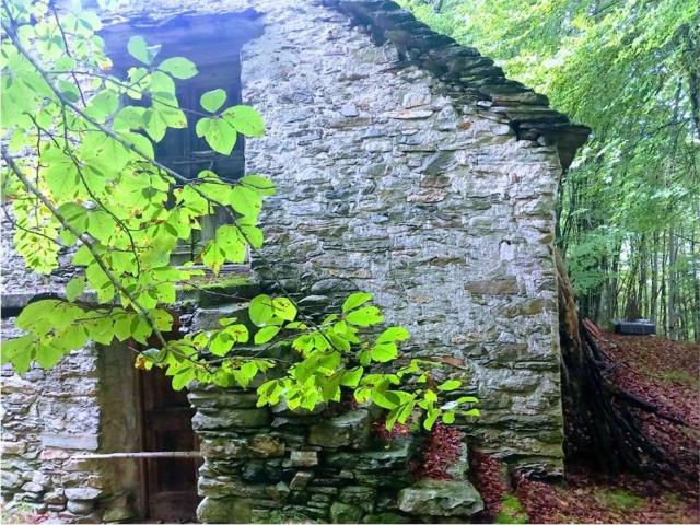 Rustico in vendita a Piemonte, Verbano-cusio-ossola