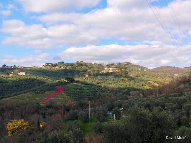 Rustico in vendita a Unione dei Comuni Circondario dell'Empolese Valdelsa, Vinci