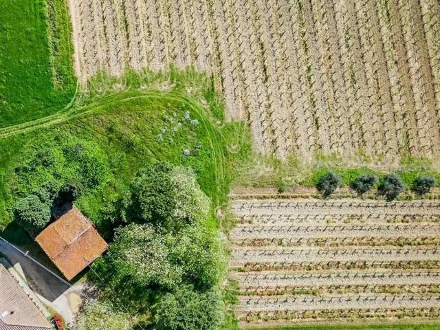 Rustico in vendita a Unione dei Comuni Circondario dell'Empolese Valdelsa, Vinci