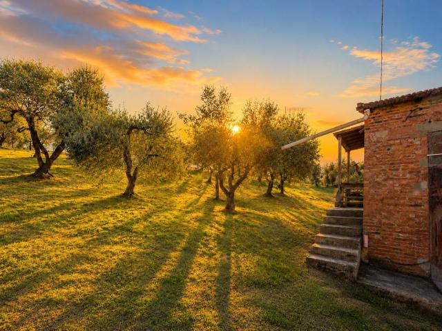 Rustico in vendita a Unione dei Comuni Circondario dell'Empolese Valdelsa, Vinci