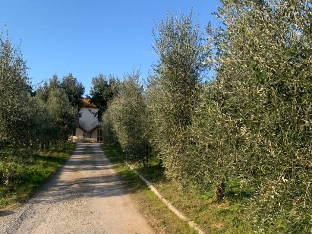 Rustico in vendita a Unione dei Comuni Circondario dell'Empolese Valdelsa, Vinci