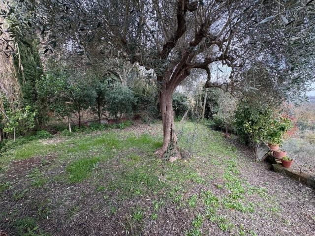 Rustico in vendita a Viterbo, Lazio