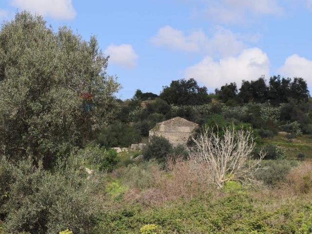 Rustico in vendita a Vittoria, Sicilia