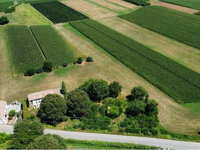 Rustico in vendita a Volpago Del Montello, Veneto