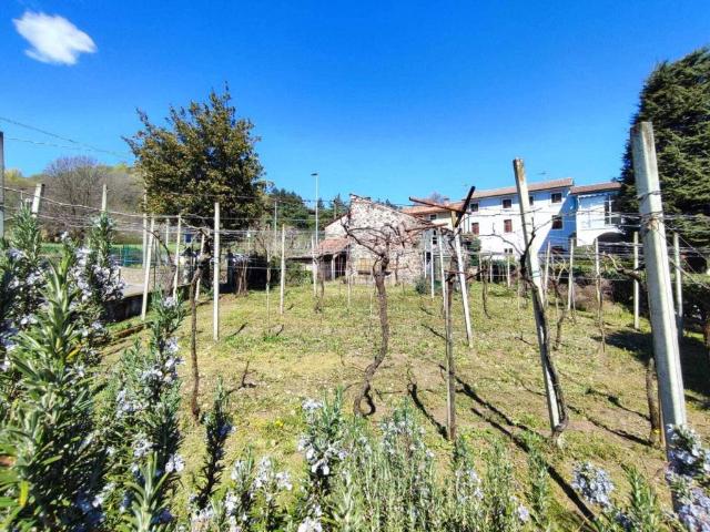 Rustico in vendita a Zermeghedo, Veneto