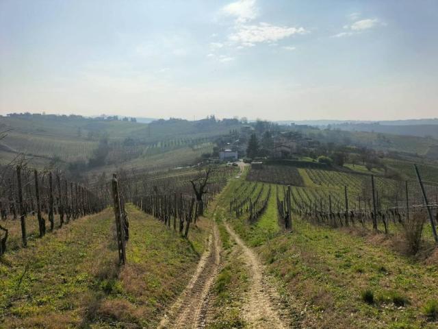 Rustico in vendita a Ziano Piacentino, Reggio Emilia