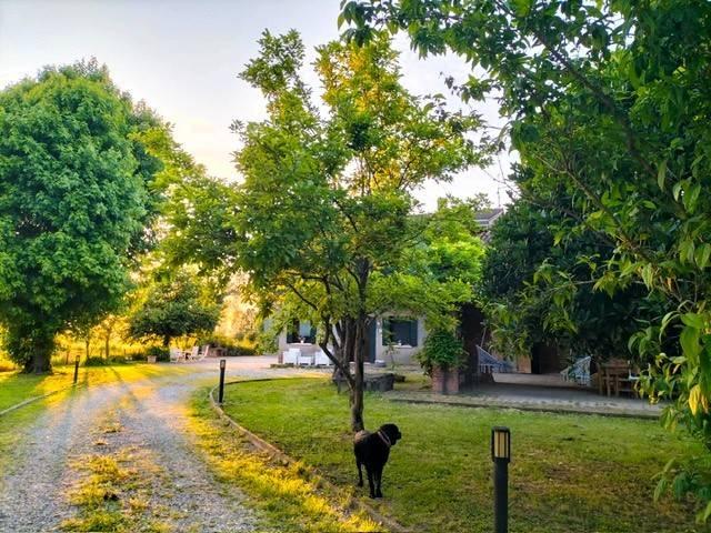 Rustico in vendita a Zimella, Veneto
