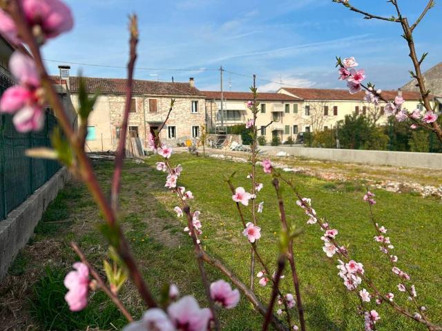 Rustico in vendita a Zimella, Veneto