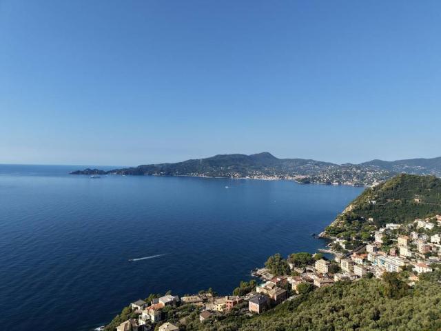 Rustico in vendita a Parazzuolo, Zoagli