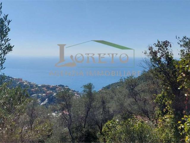 Rustico in vendita a Zoagli, Liguria