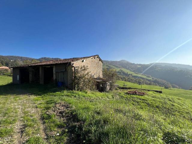 Rustico in vendita a Unione di comuni Terre di Castelli, Zocca