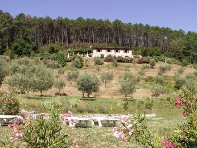 Terreno in vendita a Capannori, Lucca