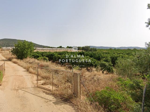 Terreno venda em Faro