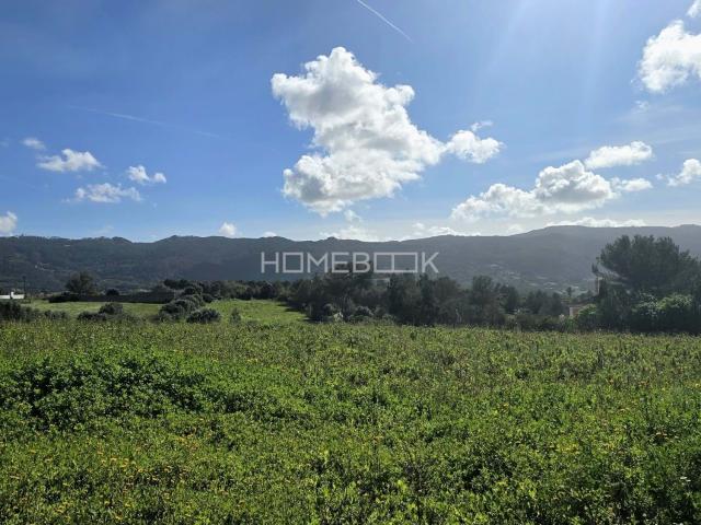 Terreno venda em Sintra, Lisboa