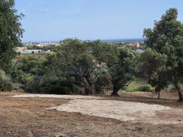 Terreno venda em Loulé, Faro