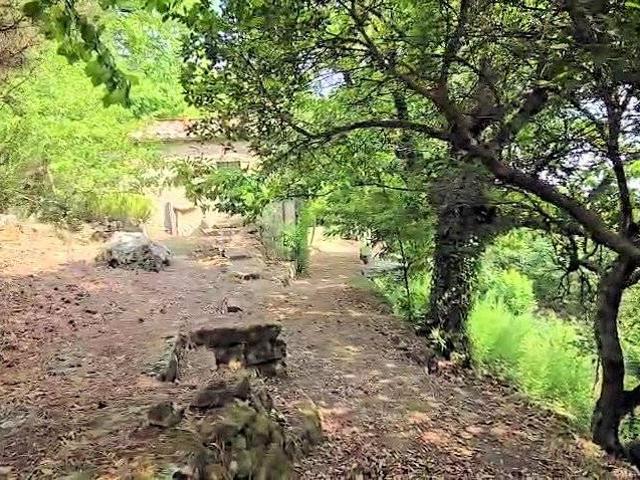 Rustico in vendita a Roccatederighi, Roccastrada