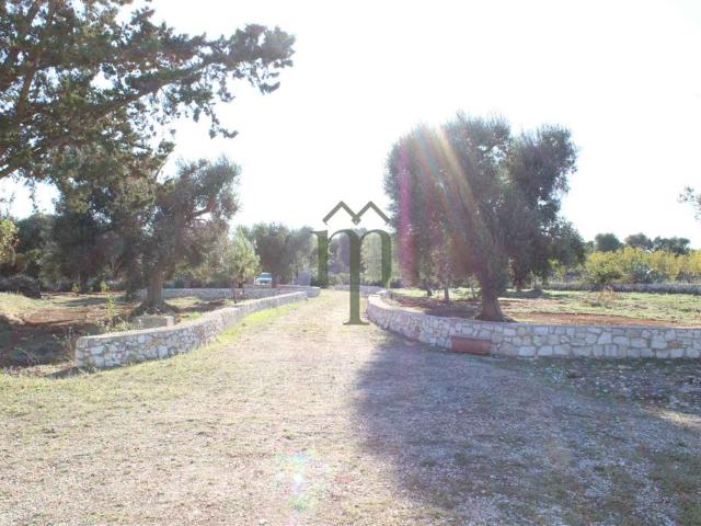 Rustico in vendita a Puglia, Brindisi