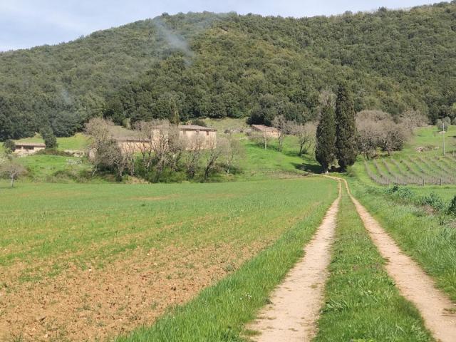 Rustico in vendita a Orli, Casole D'elsa