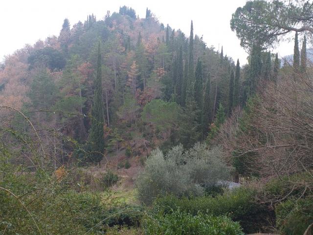 Rustico in vendita a Unione di Comuni Valdarno e Valdisieve, San Godenzo
