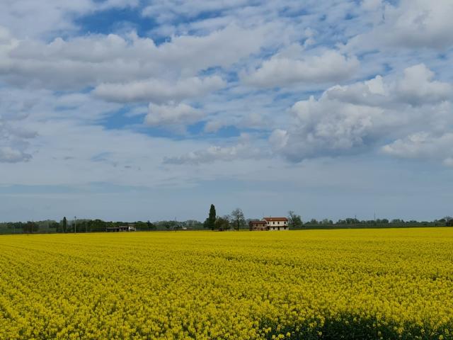Rustico in vendita a Marche, Pesaro E Urbino