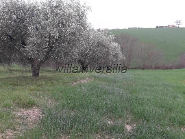 Rustico in vendita a Unione di Comuni Montani Colline del Fiora, Manciano