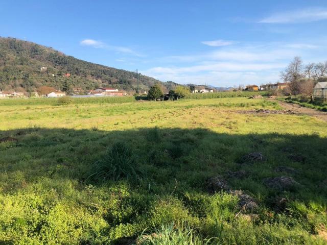 Rustico in vendita a Massarosa, Toscana
